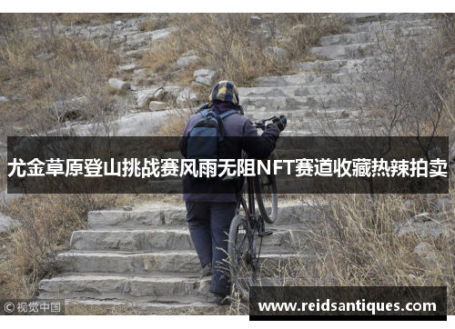 尤金草原登山挑战赛风雨无阻NFT赛道收藏热辣拍卖